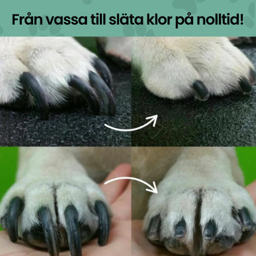 KloCare Pro - Klipp klorna tryggt och utan stress