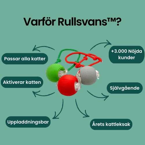 Rullsvans™ - Smart lek som håller din katt sysselsatt