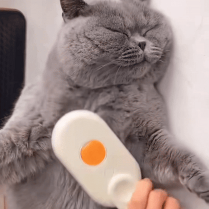 PälsElitens ångborste