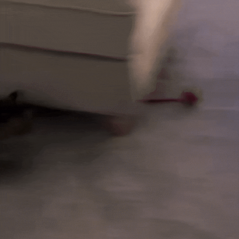 Rullsvans™ - Smart lek som håller din katt sysselsatt