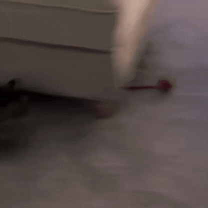 Rullsvans™ - Smart lek som håller din katt sysselsatt